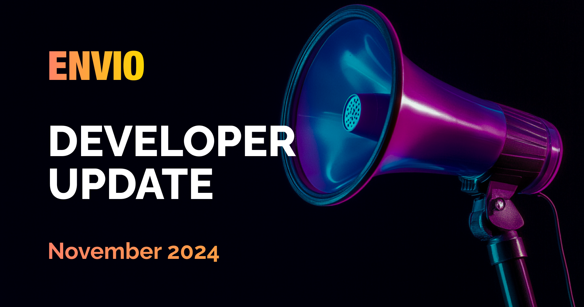 Envio Developer Update November 2024